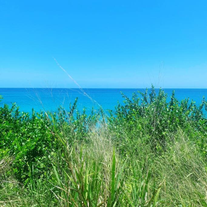 Epea Ocean View Top วิกตอเรีย ภายนอก รูปภาพ